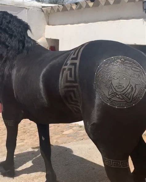 versace horse logo.